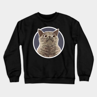 Surprised Crewneck Sweatshirt